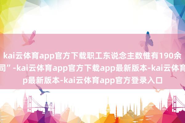 kai云体育app官方下载职工东说念主数惟有190余东说念主的“小公司”-kai云体育app官方下载app最新版本-kai云体育app官方登录入口